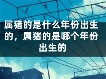 属猪的是什么年份出生的，属猪的是哪个年份出生的