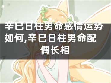 辛巳日柱男命感情运势如何,辛巳日柱男命配偶长相