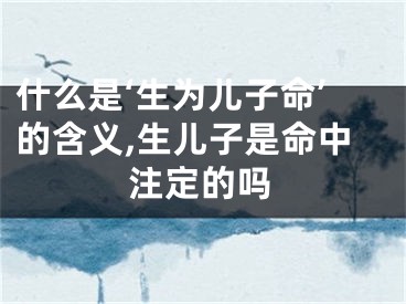 什么是‘生为儿子命’的含义,生儿子是命中注定的吗