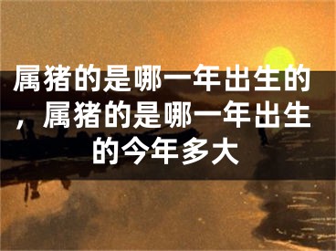 属猪的是哪一年出生的，属猪的是哪一年出生的今年多大