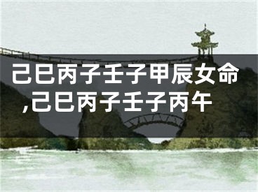 己巳丙子壬子甲辰女命,己巳丙子壬子丙午