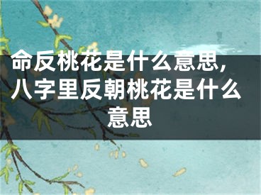 命反桃花是什么意思,八字里反朝桃花是什么意思