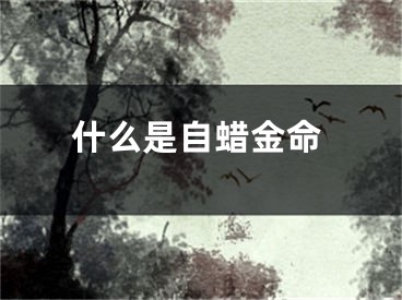 什么是自蜡金命