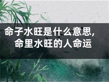 命子水旺是什么意思,命里水旺的人命运