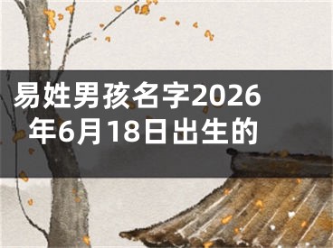 易姓男孩名字2026年6月18日出生的