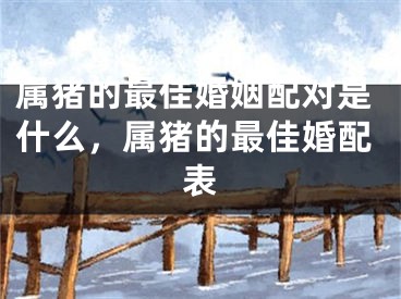 属猪的最佳婚姻配对是什么，属猪的最佳婚配表
