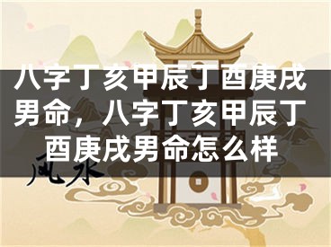 八字丁亥甲辰丁酉庚戌男命，八字丁亥甲辰丁酉庚戌男命怎么样
