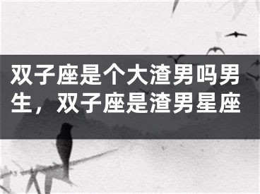 双子座是个大渣男吗男生，双子座是渣男星座