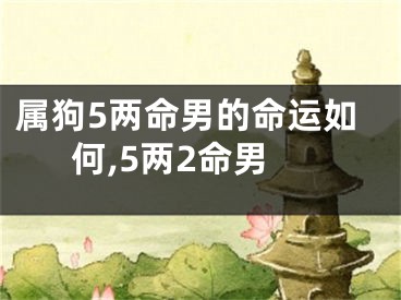 属狗5两命男的命运如何,5两2命男