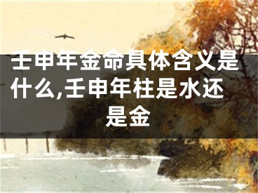 壬申年金命具体含义是什么,壬申年柱是水还是金