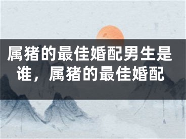 属猪的最佳婚配男生是谁，属猪的最佳婚配