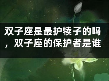 双子座是最护犊子的吗，双子座的保护者是谁