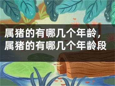 属猪的有哪几个年龄，属猪的有哪几个年龄段