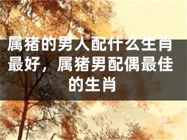 属猪的男人配什么生肖最好，属猪男配偶最佳的生肖