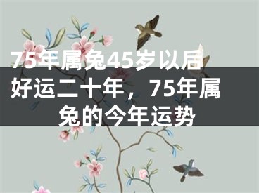 75年属兔45岁以后好运二十年，75年属兔的今年运势