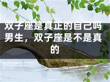 双子座是真正的自己吗男生，双子座是不是真的