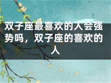 双子座最喜欢的人会强势吗，双子座的喜欢的人