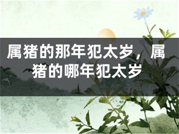 属猪的那年犯太岁，属猪的哪年犯太岁