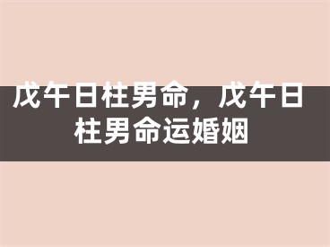 戊午日柱男命，戊午日柱男命运婚姻