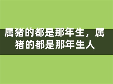 属猪的都是那年生，属猪的都是那年生人