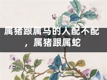 属猪跟属马的人配不配，属猪跟属蛇