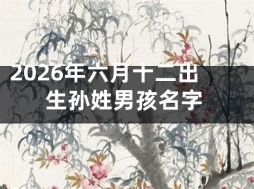 2026年六月十二出生孙姓男孩名字