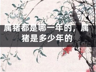 属猪都是哪一年的，属猪是多少年的