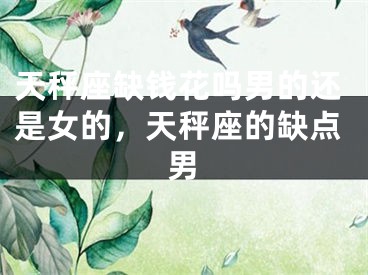 天秤座缺钱花吗男的还是女的，天秤座的缺点男