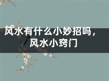风水有什么小妙招吗,风水小窍门