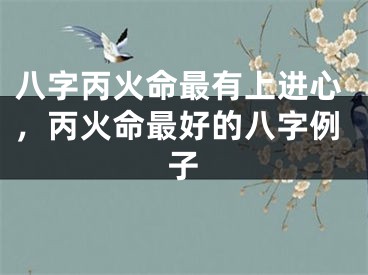 八字丙火命最有上进心，丙火命最好的八字例子