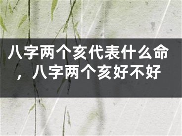 八字两个亥代表什么命，八字两个亥好不好