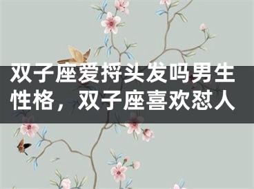 双子座爱捋头发吗男生性格,双子座喜欢怼人