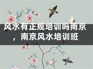 风水有正规培训吗南京,南京风水培训班