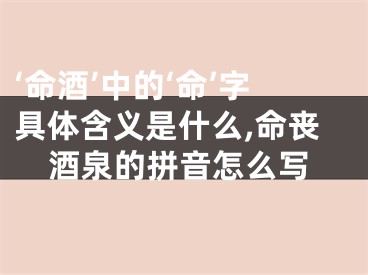 ‘命酒’中的‘命’字具体含义是什么,命丧酒泉的拼音怎么写