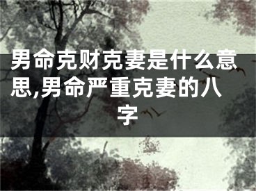 男命克财克妻是什么意思,男命严重克妻的八字