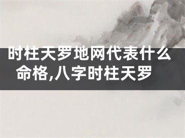 时柱天罗地网代表什么命格,八字时柱天罗