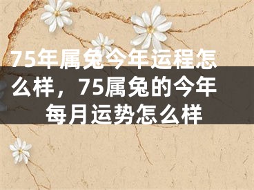 75年属兔今年运程怎么样,75属兔的今年每月运势怎么样