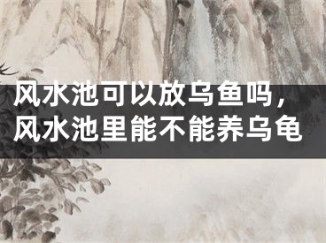风水池可以放乌鱼吗，风水池里能不能养乌龟