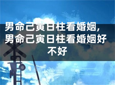 男命己寅日柱看婚姻,男命己寅日柱看婚姻好不好
