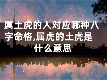 属土虎的人对应哪种八字命格,属虎的土虎是什么意思