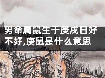 男命属鼠生于庚戌日好不好,庚鼠是什么意思