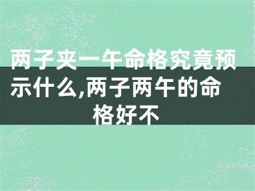 两子夹一午命格究竟预示什么,两子两午的命格好不