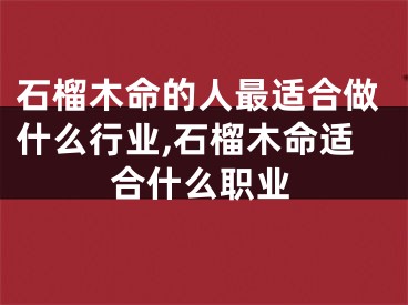 石榴木命的人最适合做什么行业,石榴木命适合什么职业