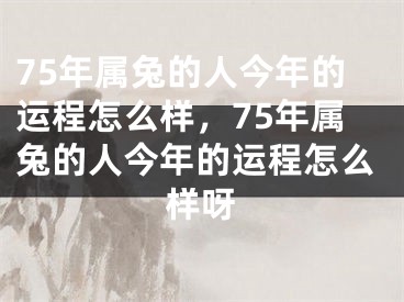75年属兔的人今年的运程怎么样,75年属兔的人今年的运程怎么样呀