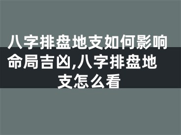 八字排盘地支如何影响命局吉凶,八字排盘地支怎么看