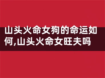 山头火命女狗的命运如何,山头火命女旺夫吗