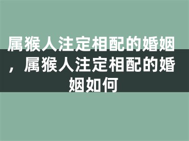 属猴人注定相配的婚姻，属猴人注定相配的婚姻如何