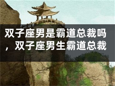 双子座男是霸道总裁吗,双子座男生霸道总裁