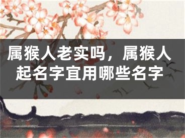 属猴人老实吗,属猴人起名字宜用哪些名字