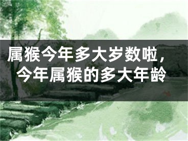 属猴今年多大岁数啦，今年属猴的多大年龄